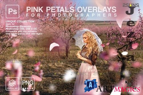 Falling Rose Petals Photo Overlays, Pink petals png - 1133528