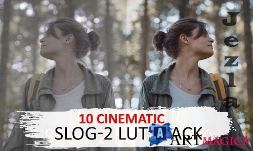10 Cinematic Slog-2 Luts - 5525741