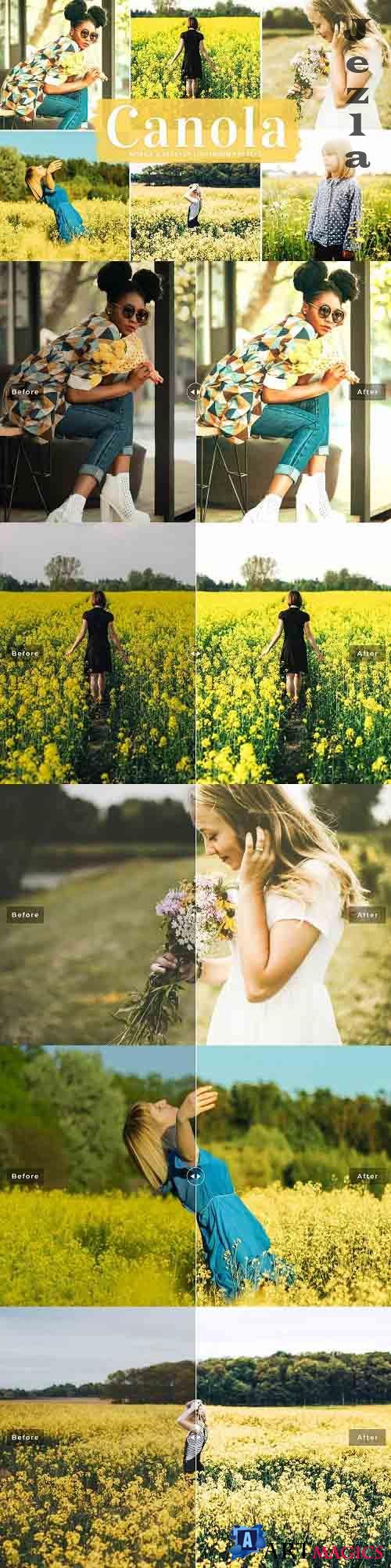 Canola Pro Lightroom Presets - 5951242