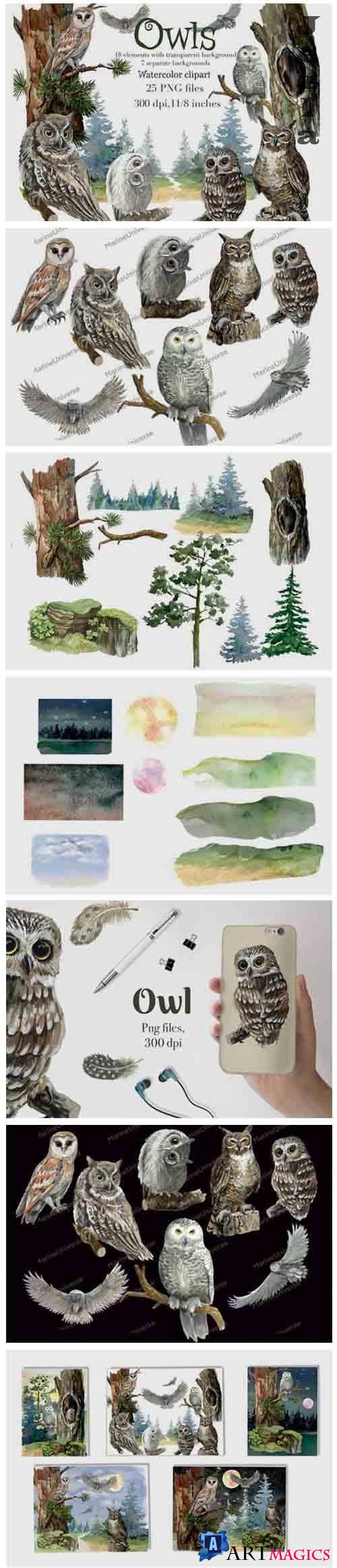 Owls watercolor clipart, forest birds,night background - 1157734