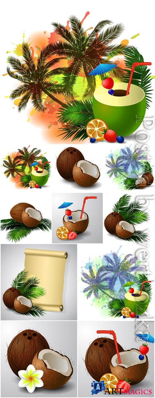 Summer illustration, coconut and palm trees in vector