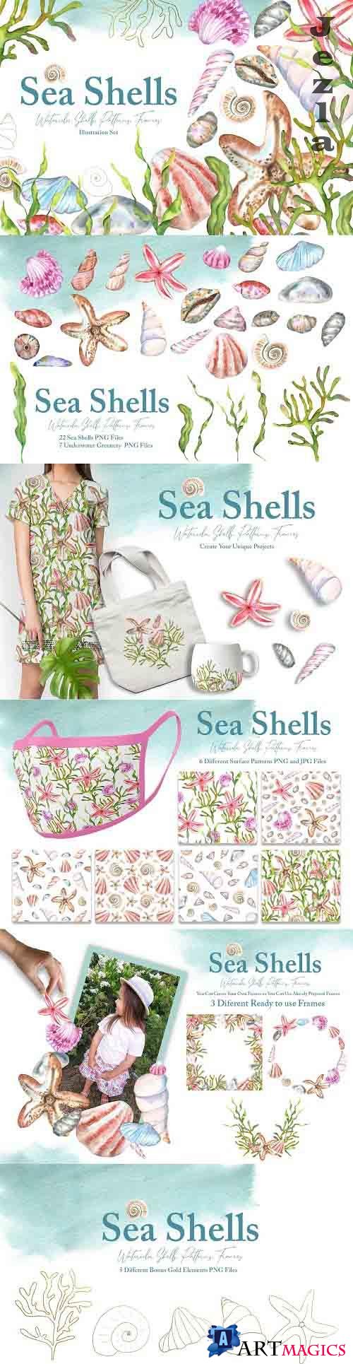 Watercolor Sea Shells Illustrations - 6181957