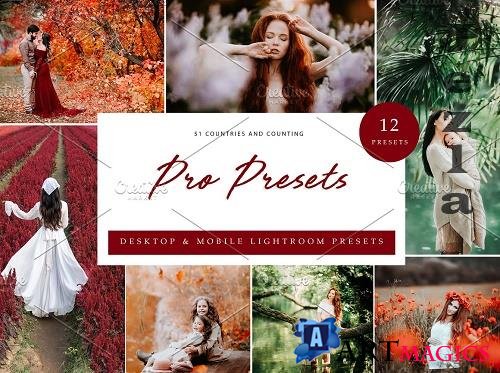 12x Lightroom Presets Pro Presets - 6071347