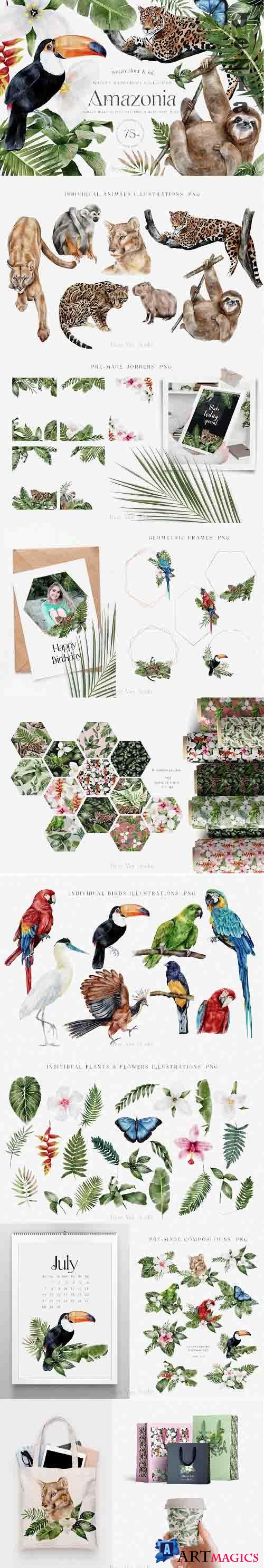 Tropical Rainforest Illustrations Collection and Patterns - 1408970