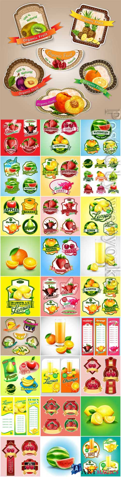 Labels and banners of fruits and berries in vector
