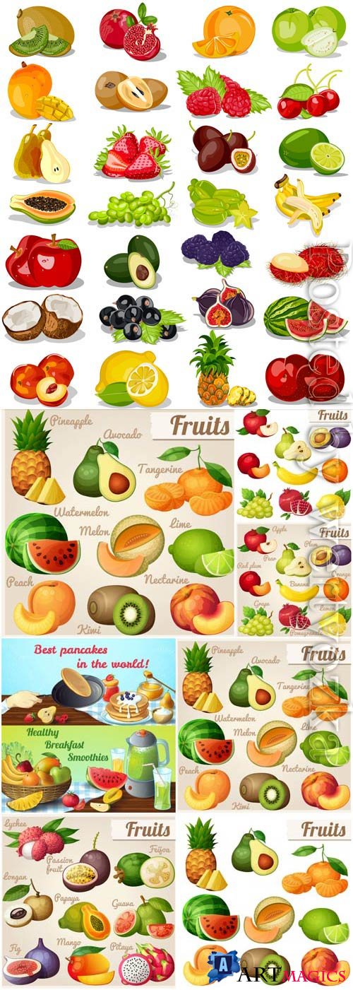 Set of tropical fruits and various berries in vector