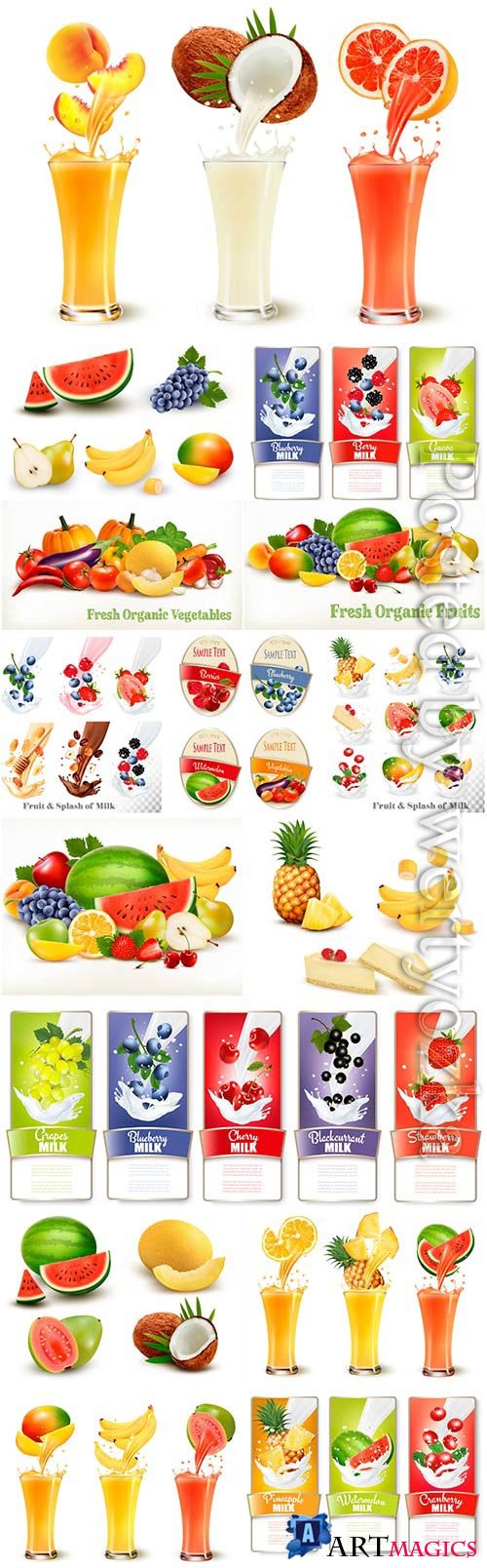Fruit berries and fresh juices in vector