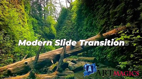 Modern Slide Transitions 755613 - Premiere Pro Templates