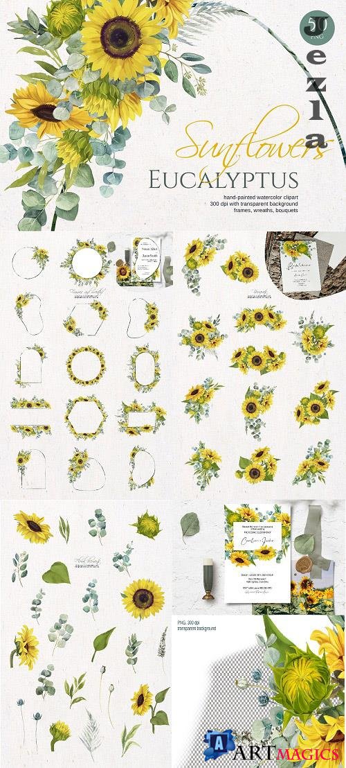 Sunflower Eucalyptus. Watercolor set - 6302125
