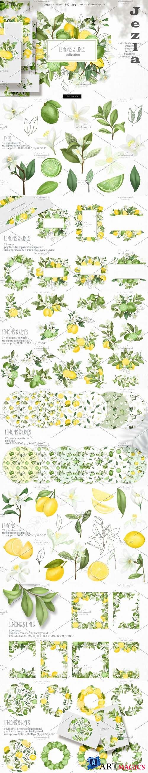 Lemons & limes collection - 4609745
