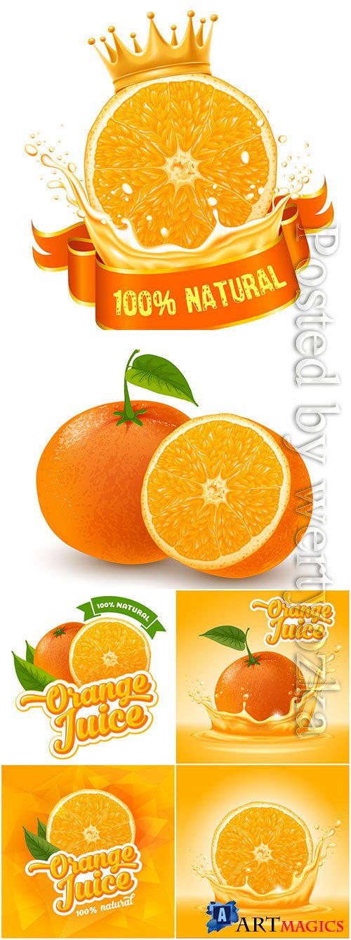 Orange and orange juice in vector