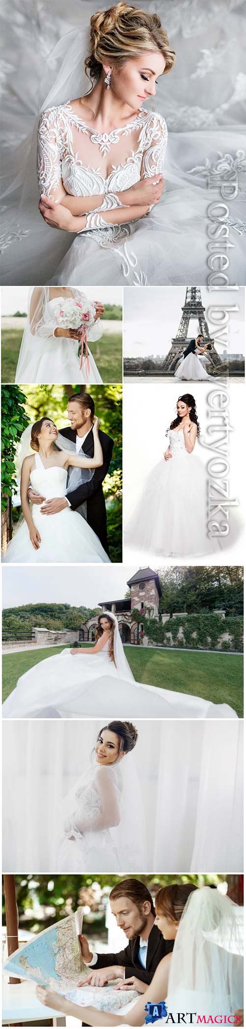 Brides in luxurious dresses and handsome men stock photo