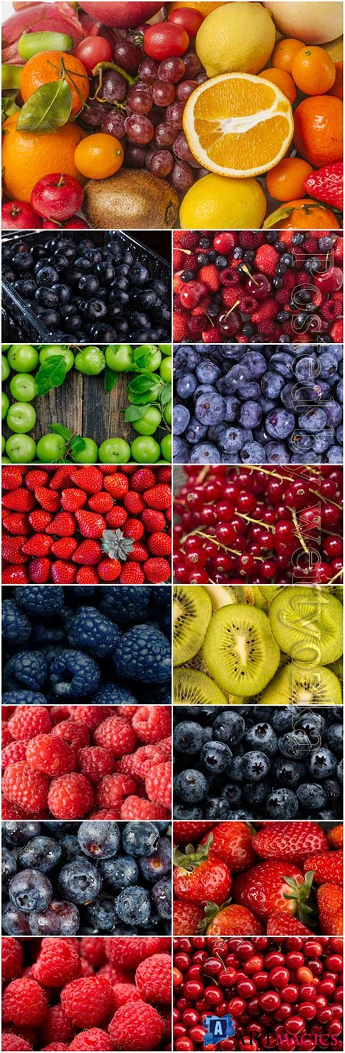 Fruits and berries stock photo set