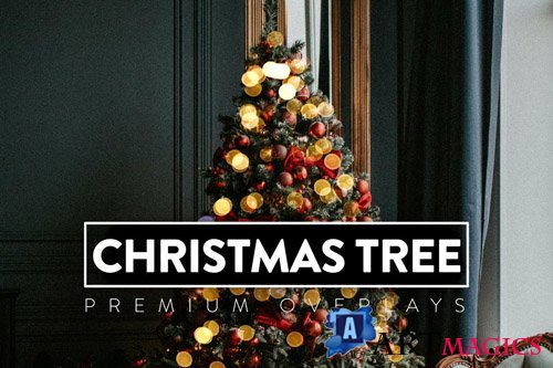 24 Christmas Tree Light Overlay
