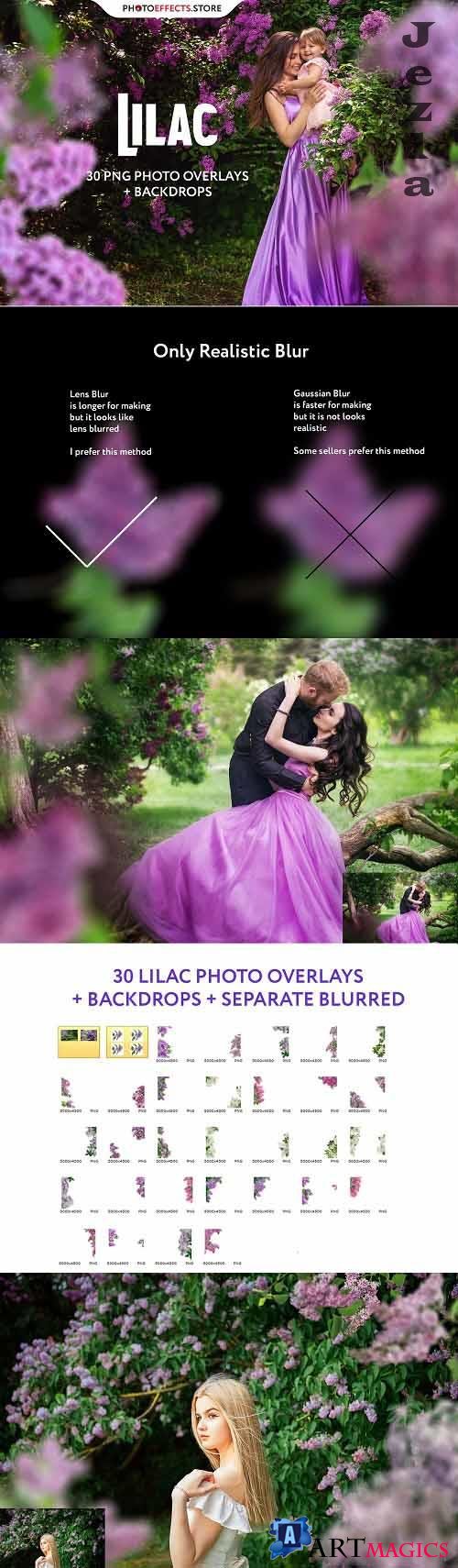 30 Lilac Photo Overlays - 6542496