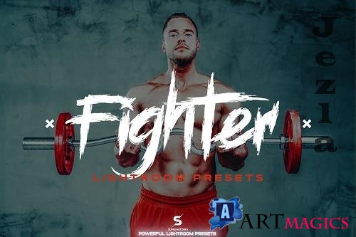 Fighter Lightroom Presets