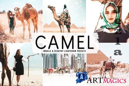 Camel Pro Lightroom Presets - 6622399