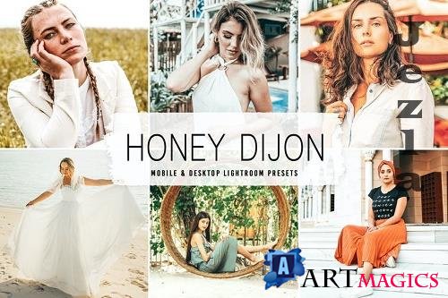 Honey Dijon Mobile & Desktop Lightroom Presets