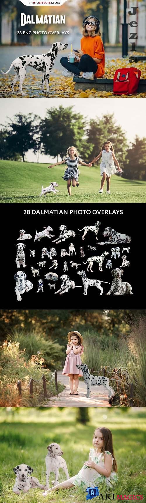 28 Dalmatian Photo Overlays - 6652850