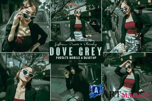 Dove Grey Photoshop Action & Lightrom Presets