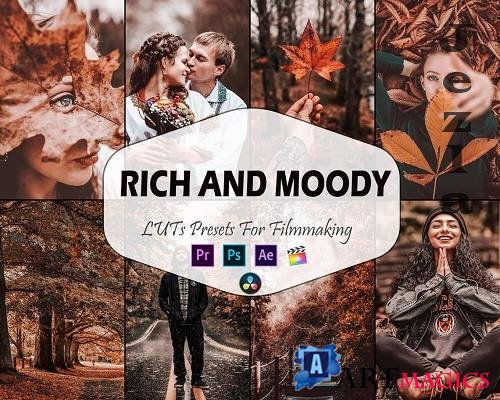 10 Rich And Moody Video LUTs Presets, Fall LUT preset, Bright Fashion Portrait filter