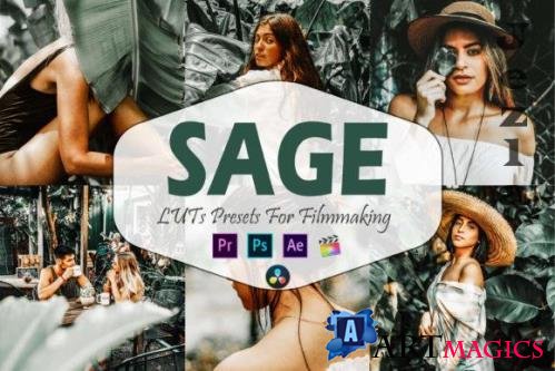 10 Sage Video LUTs Presets