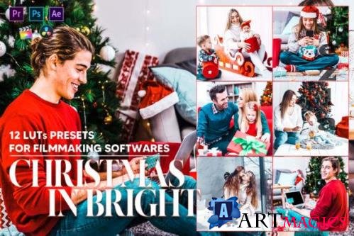12 Christmas in Bright Video LUTs Preset