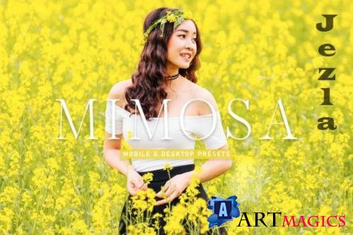 Mimosa Mobile & Desktop Lightroom Presets - 1800000