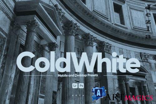 ARTA - Cold White Presets for Lightroom