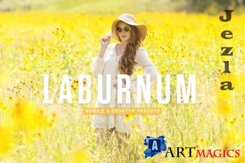 Laburnum Mobile & Desktop Lightroom Presets - 1803516