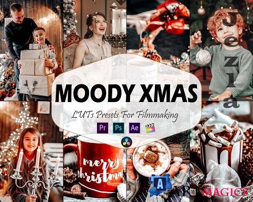 10 Moody Xmas Video LUTs Presets, Christmas LUT preset, Bright Fashion Portrait filter