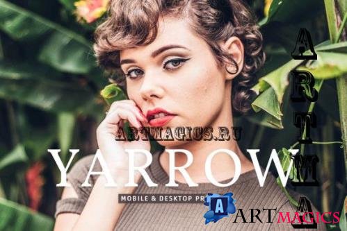 Yarrow Mobile & Desktop Lightroom Presets - 1852353