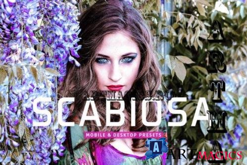 Scabiosa Mobile & Desktop Lightroom Presets - 1852332