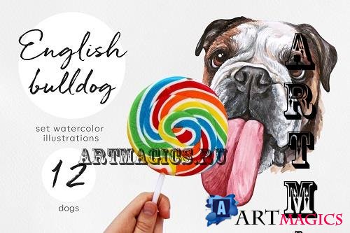 English bulldog. Big watercolor set 12 dog illustrations - 537117