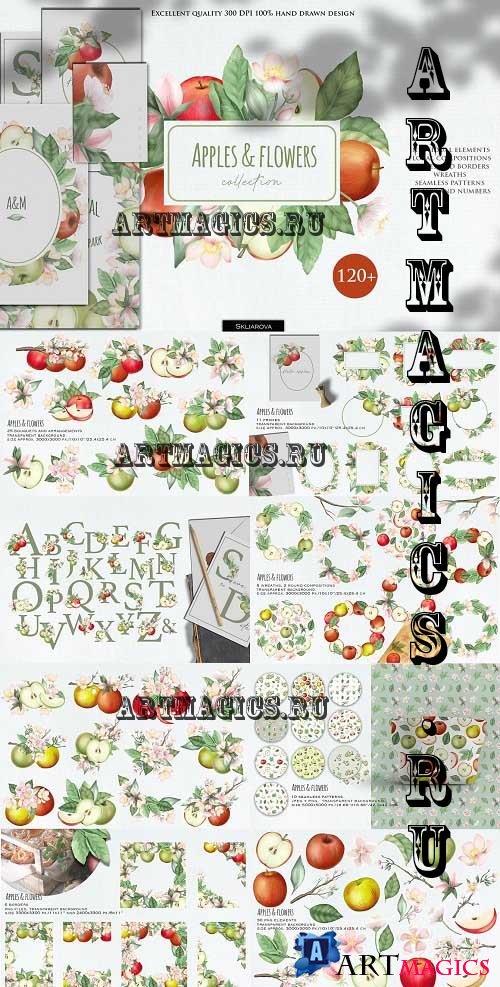 Apples and flowers collection - 7117656