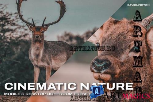 Cinematic Nature Lightroom Presets & LUTs