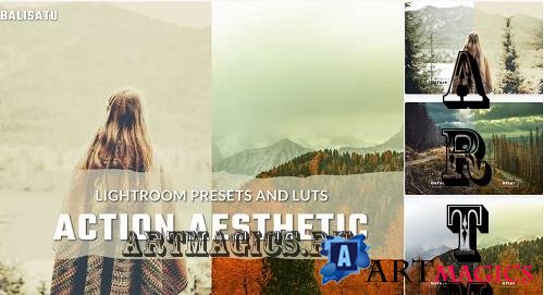 Action Aesthetic LUTs and Lightroom Presets