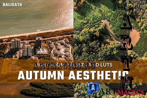 Autumn Aesthetic LUTs and Lightroom Presets