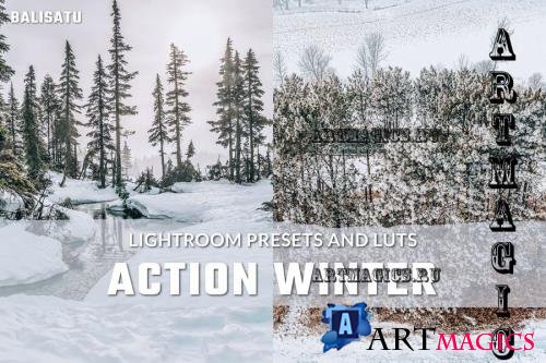 Action Winter LUTs and Lightroom Presets