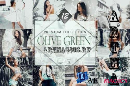 12 Photoshop Actions, Olive Green Ps