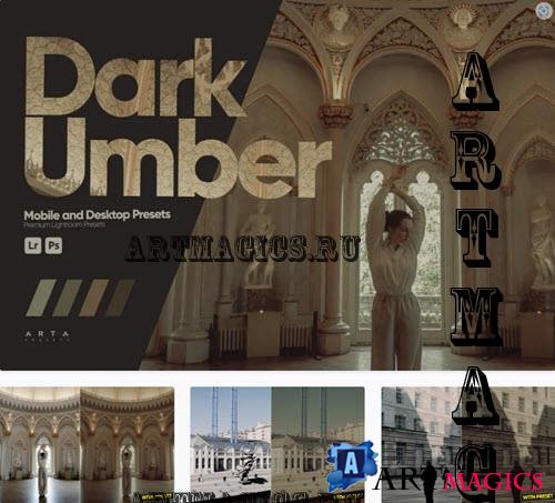 ARTA - Dark Umber Presets for Lightroom