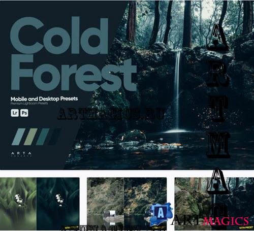ARTA - Cold Forest Presets for Lightroom
