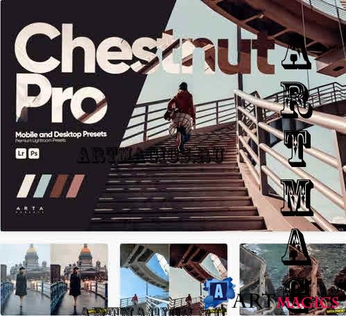 ARTA - Chestnut Pro Presets for Lightroom