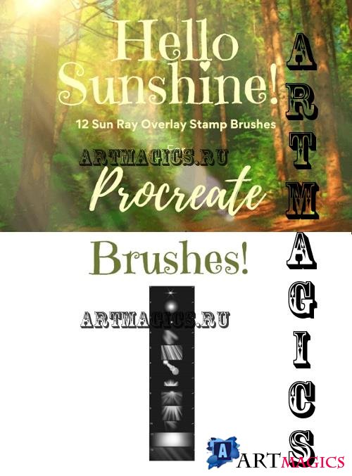 Procreate Sun Ray Overlay Stamps X12