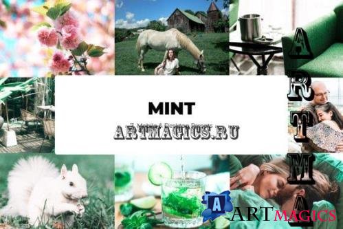 7 Mint Lightroom Presets - Mobile & Desktop