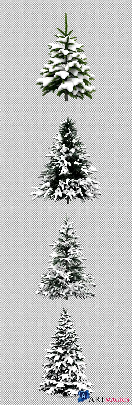 PSD beautiful Christmas tree in snow in 3d rendering isolated