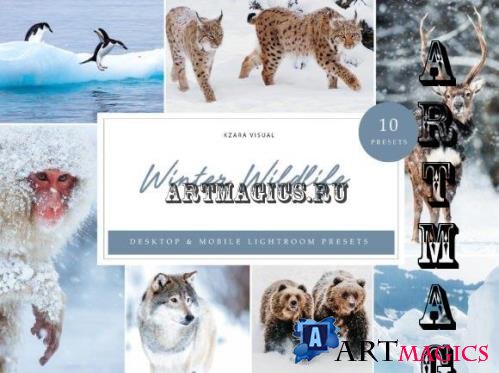 10 x Winter Wildlife Lightroom Presets - 10971867