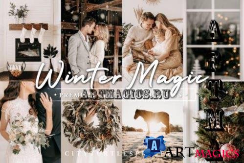 Natural Winter Magic LR Presets - 10983799