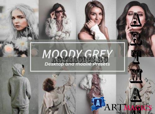 12 Moody Grey Lightroom Presets