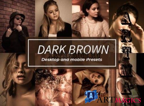14 Dark Brown Lightroom Presets